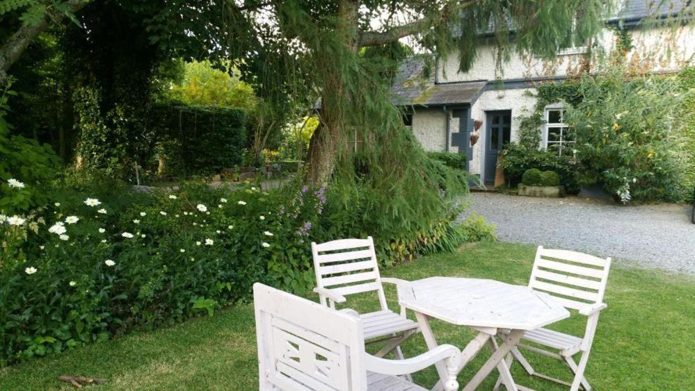 The Old Goathouse Hotel Kildare Luaran gambar