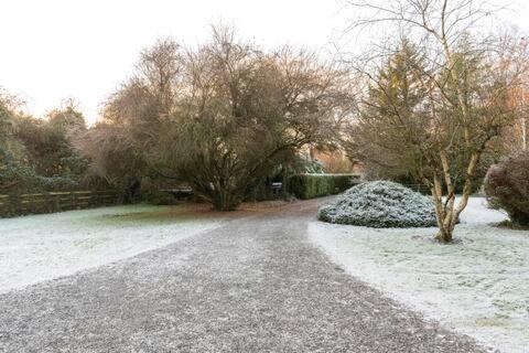 The Old Goathouse Hotel Kildare Luaran gambar