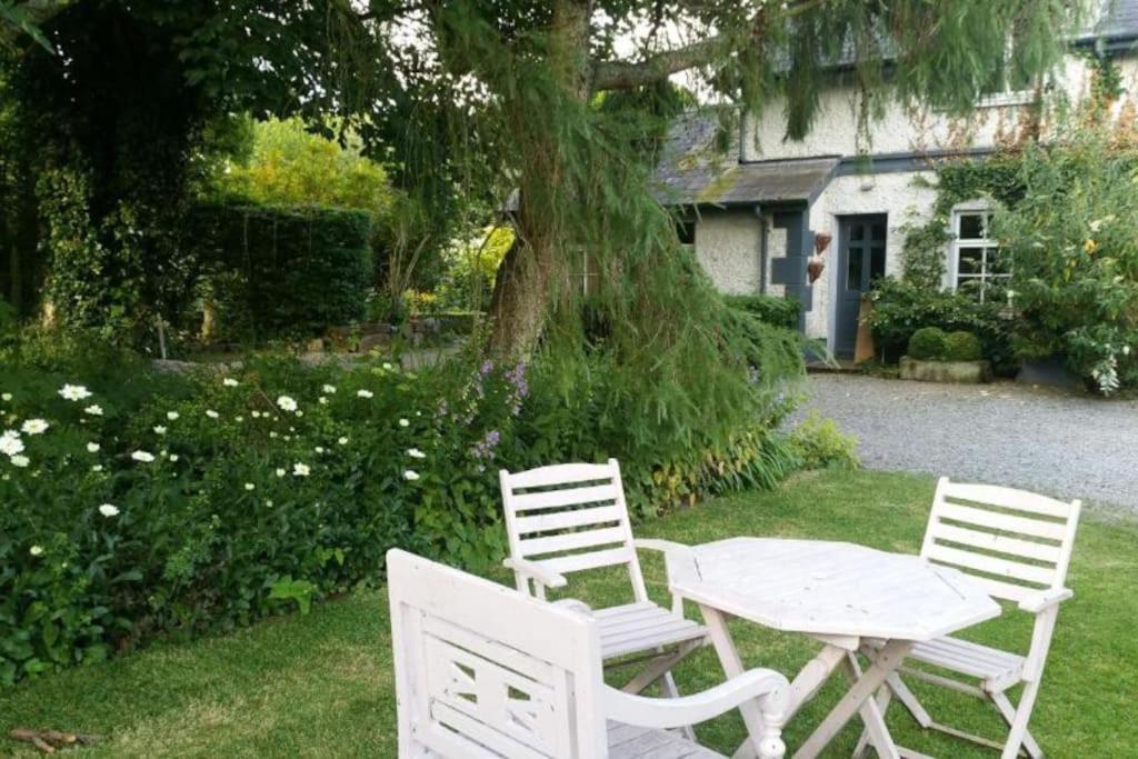 The Old Goathouse Hotel Kildare Luaran gambar