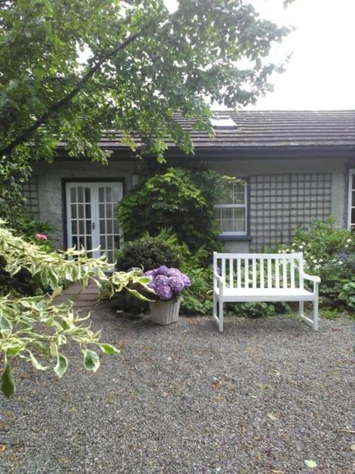The Old Goathouse Hotel Kildare Luaran gambar