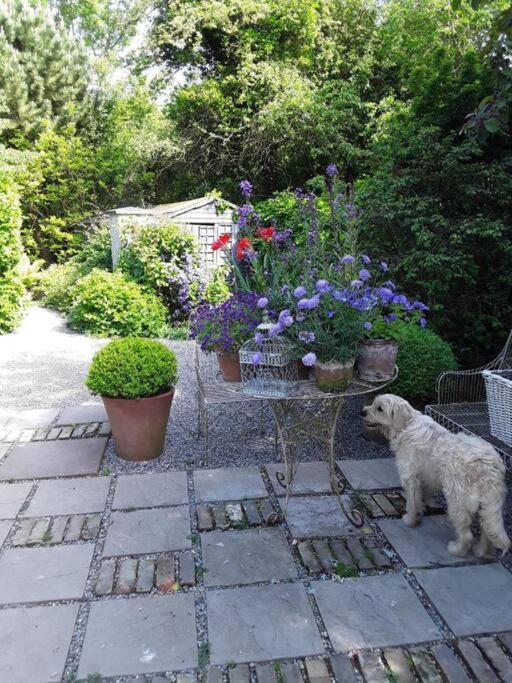 The Old Goathouse Hotel Kildare Luaran gambar